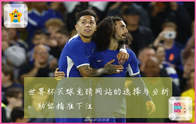 世界杯买球竞猜网站的选择与分析，助你精准下注
