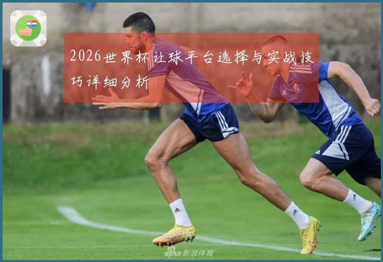 2026世界杯让球平台选择与实战技巧详细分析