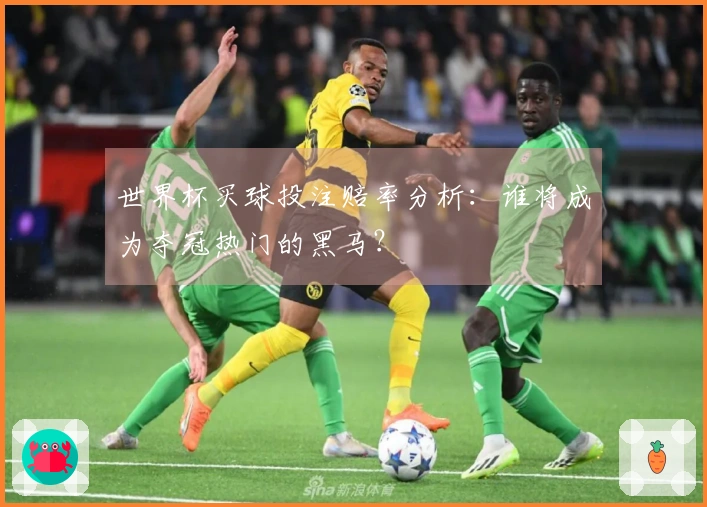 世界杯买球投注赔率分析：谁将成为夺冠热门的黑马？