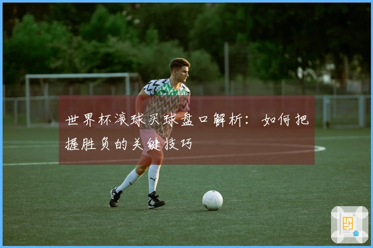 世界杯滚球买球盘口解析：如何把握胜负的关键技巧