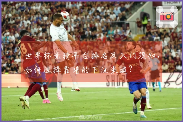 世界杯竞猜平台排名及入门须知，如何选择靠谱的下注渠道？