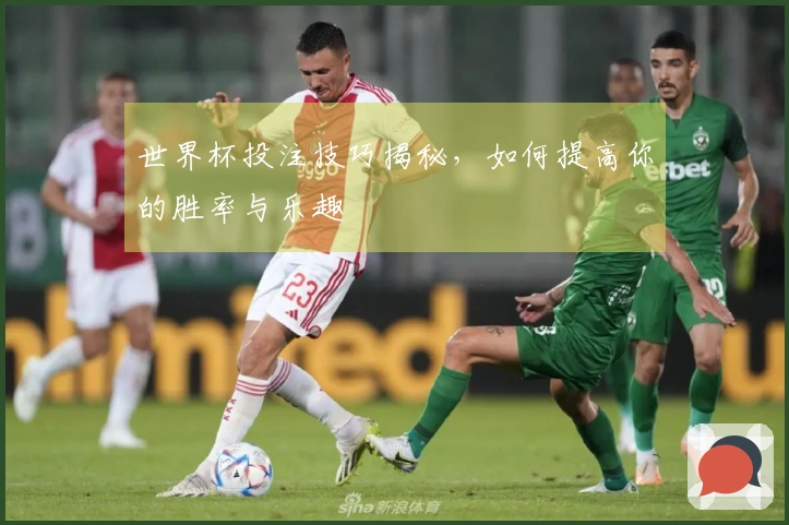 世界杯投注技巧揭秘，如何提高你的胜率与乐趣