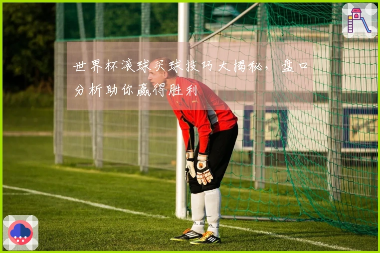 世界杯滚球买球技巧大揭秘，盘口分析助你赢得胜利