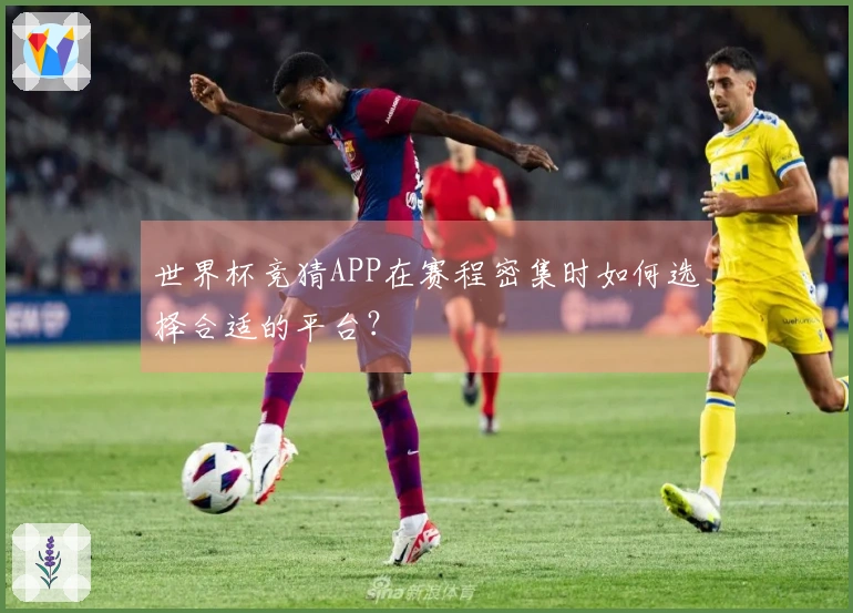 世界杯竞猜APP在赛程密集时如何选择合适的平台？