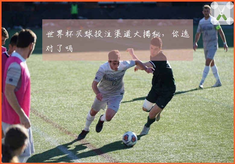 世界杯买球投注渠道大揭秘，你选对了吗