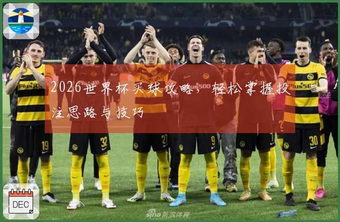 2026世界杯买球攻略，轻松掌握投注思路与技巧