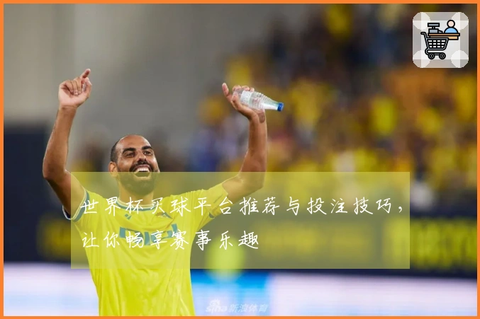 世界杯买球平台推荐与投注技巧，让你畅享赛事乐趣