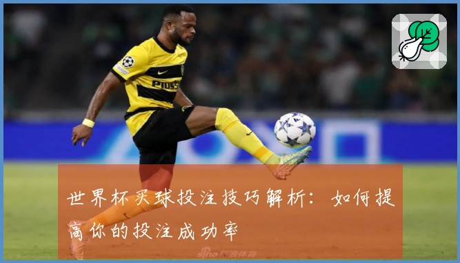世界杯买球投注技巧解析：如何提高你的投注成功率