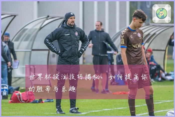 世界杯投注技巧揭秘，如何提高你的胜率与乐趣