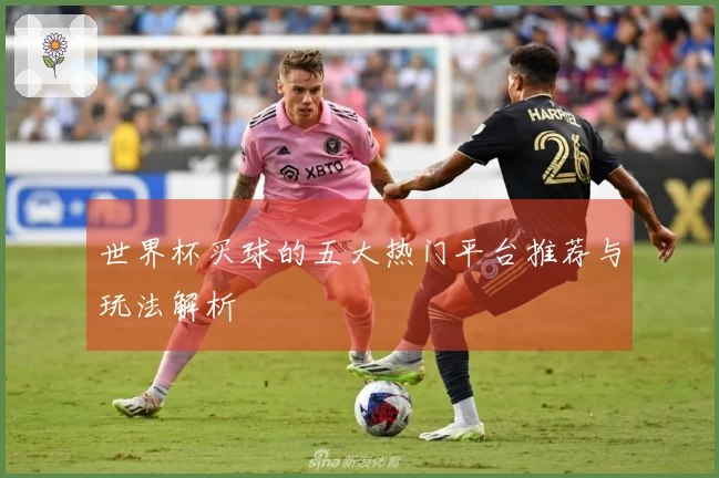 世界杯买球的五大热门平台推荐与玩法解析