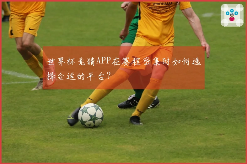 世界杯竞猜APP在赛程密集时如何选择合适的平台？