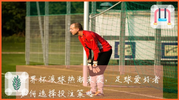 世界杯滚球热潮来袭，足球爱好者如何选择投注策略