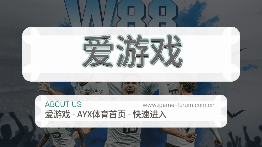 关于 爱游戏
